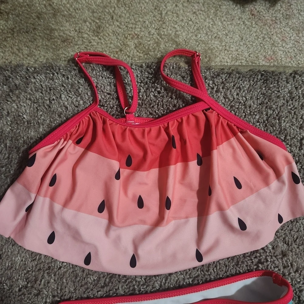 Watermelon Print Bikini Set